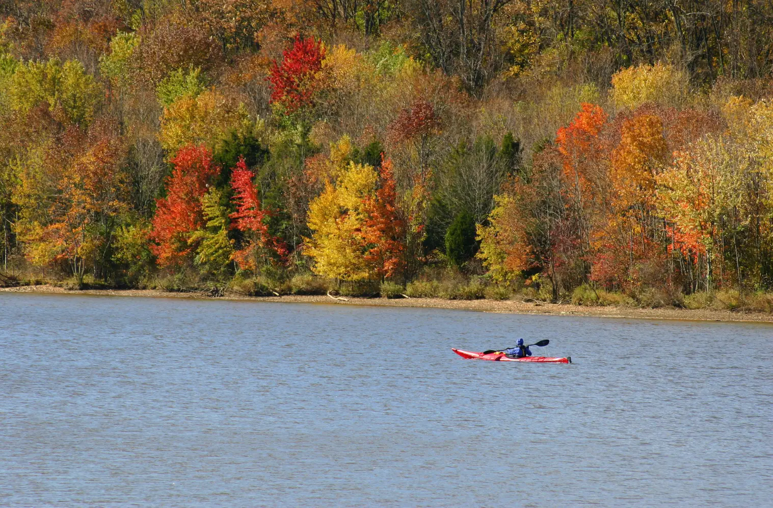 fall canoe trip in hocking hills, kayak on a calm river at peak fall color with red and gold trees